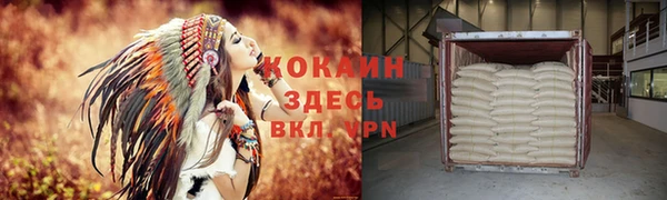 мдпв Няндома