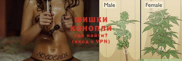 МДПВ Нягань