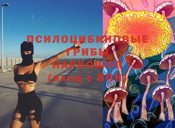 эйфоретик Новокубанск