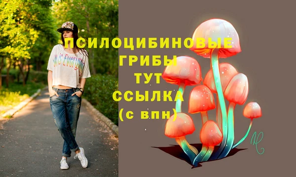 ECSTASY Нязепетровск