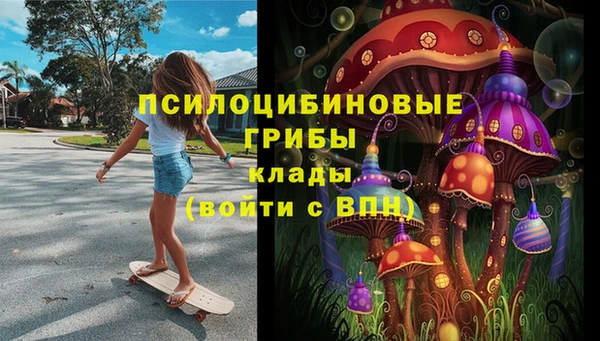 COCAINE Шали