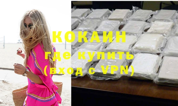 мдпв Няндома