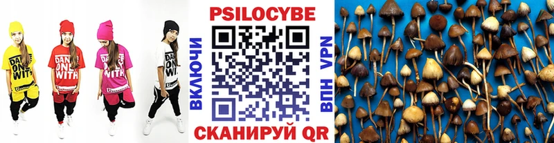 Галлюциногенные грибы мицелий  Краснозаводск 
